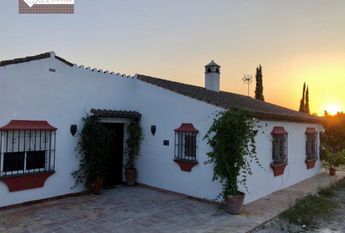 Farmhouse - Estepona (Costa Del Sol Occidental-Área)