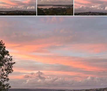 Bellevue Hill - Photo 6