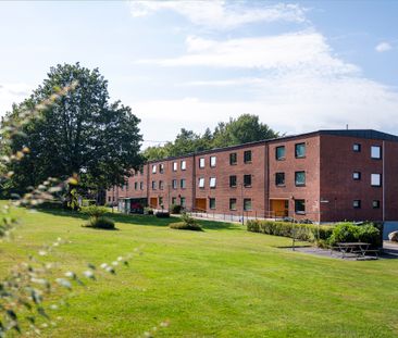 Mariegården 43, 376 37, SVÄNGSTA, Sverige - Photo 5