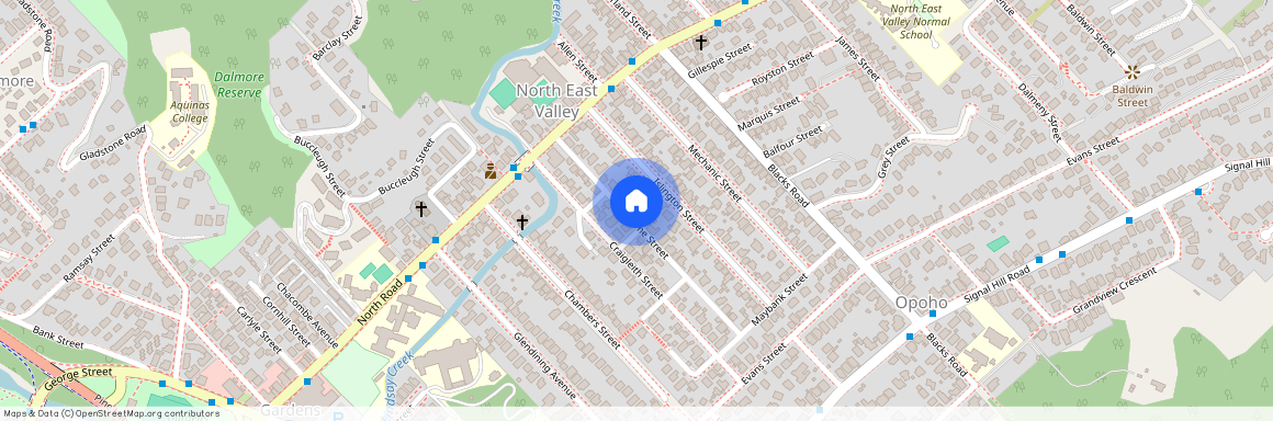 29 Frame Street, North East Valley, Dunedin City