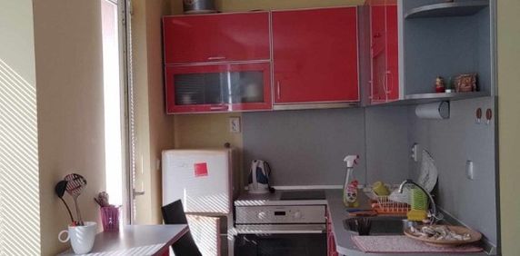 Grasoniera in zona Stadionului - Fotografie 2