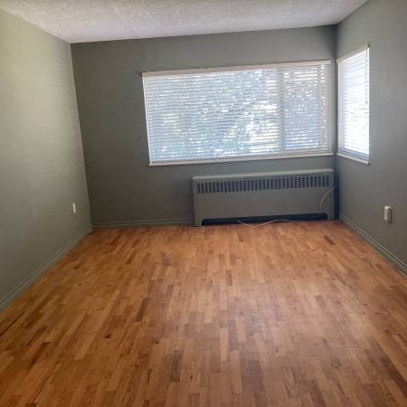 1 Bedroom Apartment on Fort Street $1600.00 - Photo 3