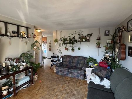 82 Toronto St, Unit 5, Kingston, ON - Photo 5