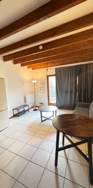 LOCATION APPARTEMENT SAINT GENIS LAVAL EN DUPLEX de 36m2 avec jardin - Photo 1