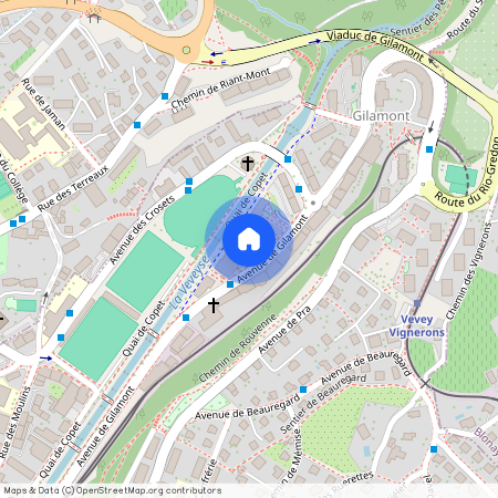 Avenue de Gilamont 17 - C, 1800 Vevey