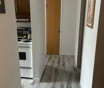 1 BEDROOM DOWNTOWN APARTMENT CAT FRIENDLY — 1 Bedroom Apartment - Photo 1