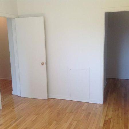 1 CH - 1 SDB - Montréal - $1,300 /mo - Photo 3