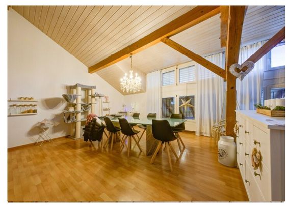 Helle und grosszügige Dachgeschosswohnung - Photo 1
