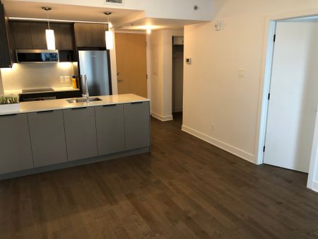 101 Rue Peel, Montréal (Le Sud-Ouest), QC H3C - Photo 4