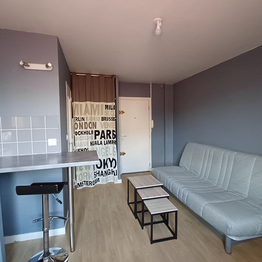 Location Appartement 1 pièce 16m² TOURS 37000 - Photo 1