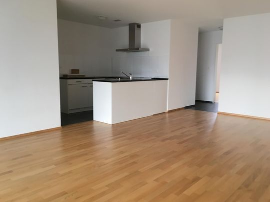 3.5 Zimmer, eigene WM/TU, separater Abstellraum, verglaster Balkon - Foto 1