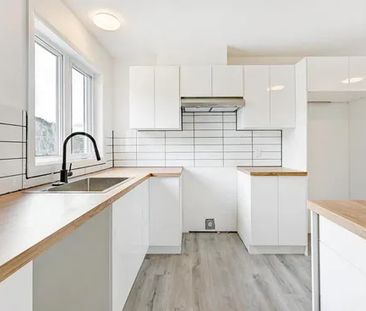 Plusieurs 5 1/2 à Partir De 1450$ - Photo 1
