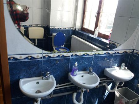 6 room villa, long term rental, Serban Voda Blvd, Bucharest - Fotografie 4