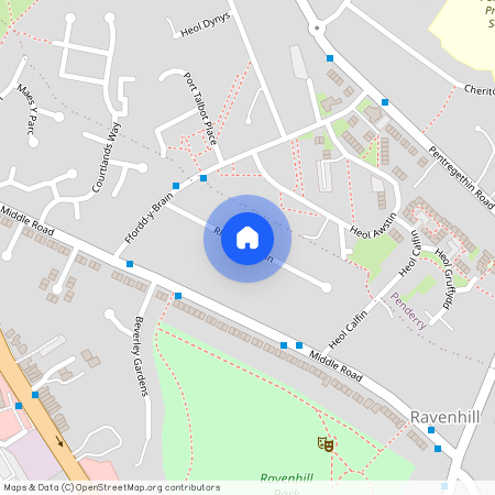 Rhodfar Brain, Ravenhill, Swansea