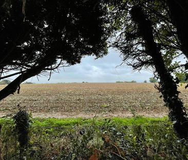 Strawberry Field, Dursley, GL11 6BU - Photo 4