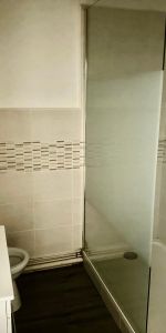 Location Appartement 1 pièce 31m² PLOMBIERES LES DIJON 21370 - Photo 4