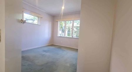 Nice Family Home in Hillsborough 4BR 2Bathroom - Photo 4