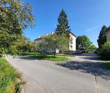 Pronájem, byt 2+1+B, ul. Stromořadí, Dobřany - Photo 3
