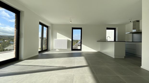 Rue Bourgmestre Fernand Colon, 5020, Namur Malonne - Foto 1