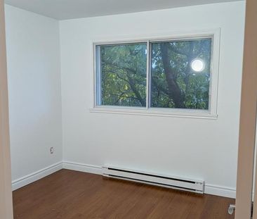 #3 -285 Rue Pineault - Photo 2