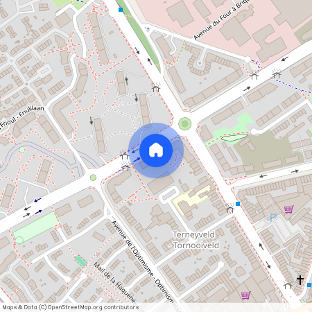 Avenue Henry Dunant - Henry Dunantlaan, 40, 1140, Evere