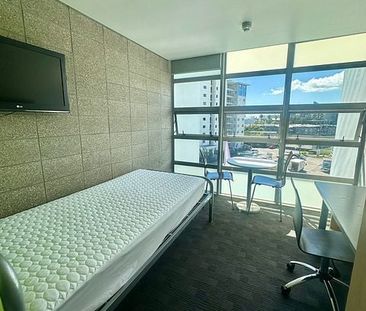 Central Auckland Studio Apartment! - Photo 1