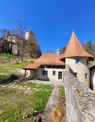Une vie de château à Lucens - Photo 4