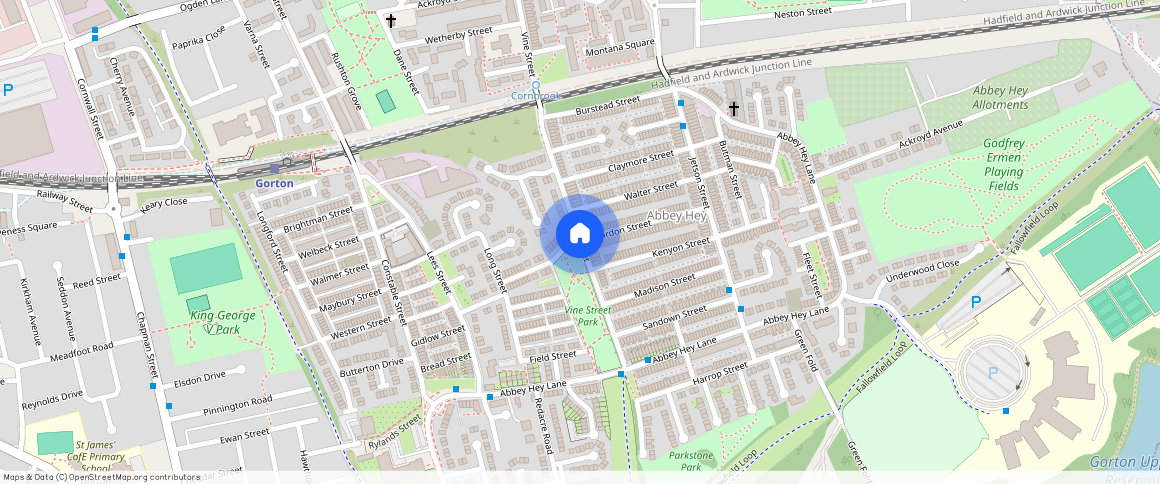 Vine Street, Manchester M18