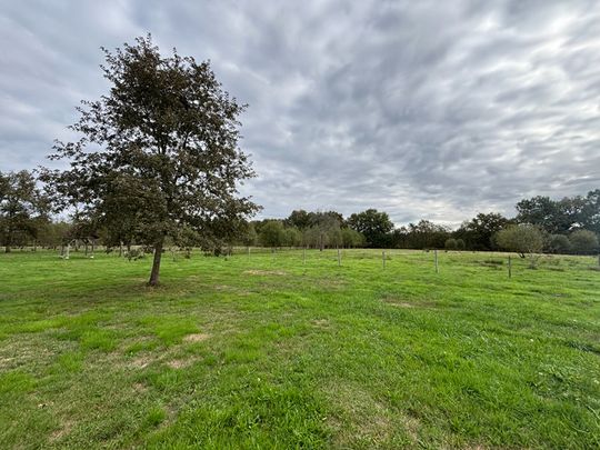 Maison LENCOUACQ 4 pièce(s) 66.20 m2, - Photo 1