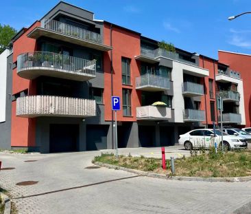 Pronájem bytu 1+kk s vlastním parkovacím stáním, Horní Palava, Blan... - Fotografie 5