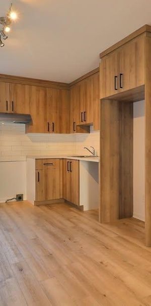 4 ½ à Saint-Jacques entièrement rénové - disponible dès maintenant - Photo 1