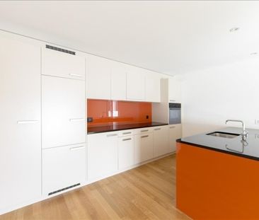 Logement dans le vert - Photo 4
