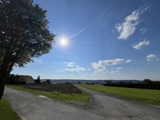 Weinidylle Südburgenland: Bungalows zum Miet-Kauf mit Einlagerungsräumen - Photo 1