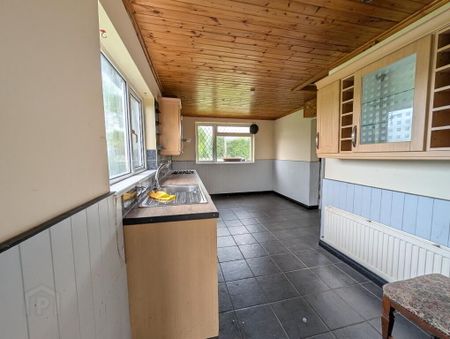 Edendarriff Road, Ballynahinch, BT24 8QF - Photo 4