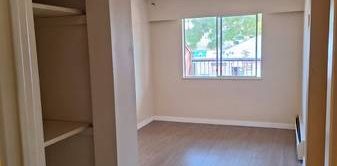 One Bedroom Apartment w/ Large Balcony for Rent - Photo 2