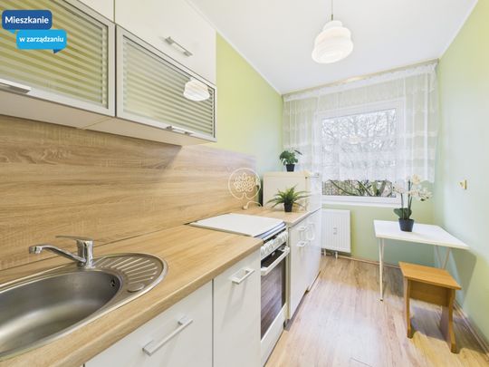 kawalerka na wynajem - Zdjęcie 1