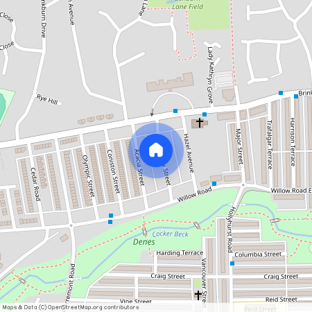 Hamsterley Street, Darlington
