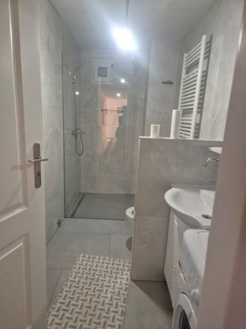 Casa individuala, de inchiriat, sat Romanesti - Fotografie 4