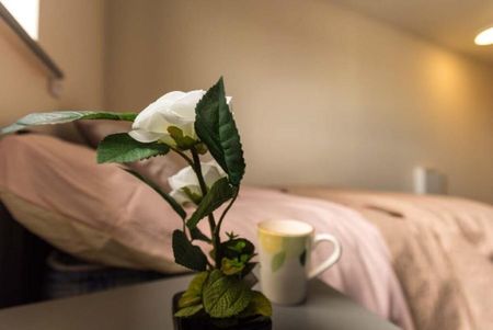1 bedroom in a flat share to rent - Photo 5