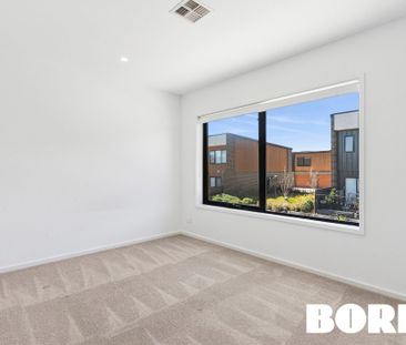 11C Negus Crescent, Watson ACT 2602 - Townhouse For Rent | Domain - Photo 2