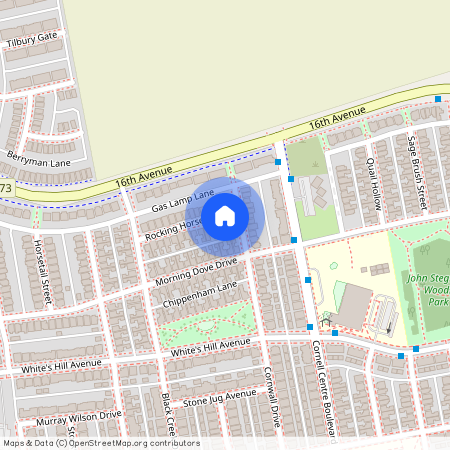 25 Rocking Horse Street Unit# Coach, Markham