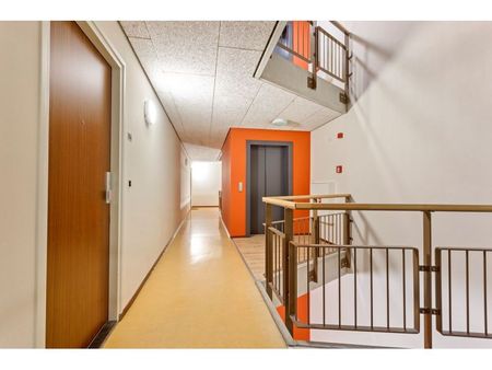 Lichtstraat - Photo 5