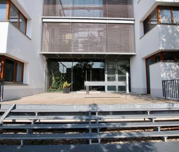 Sehr schöne 3 Zimmerwohnung zu vermieten - Foto 1