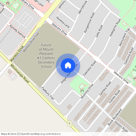 40 Hogan Manor Drive, Brampton