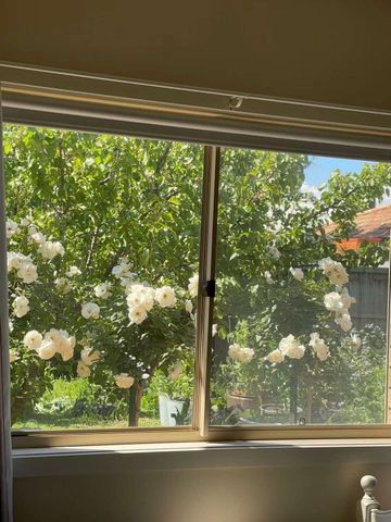 Point Cook - Photo 2