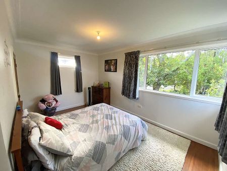 12 Norman Rd, Titirangi - Photo 5