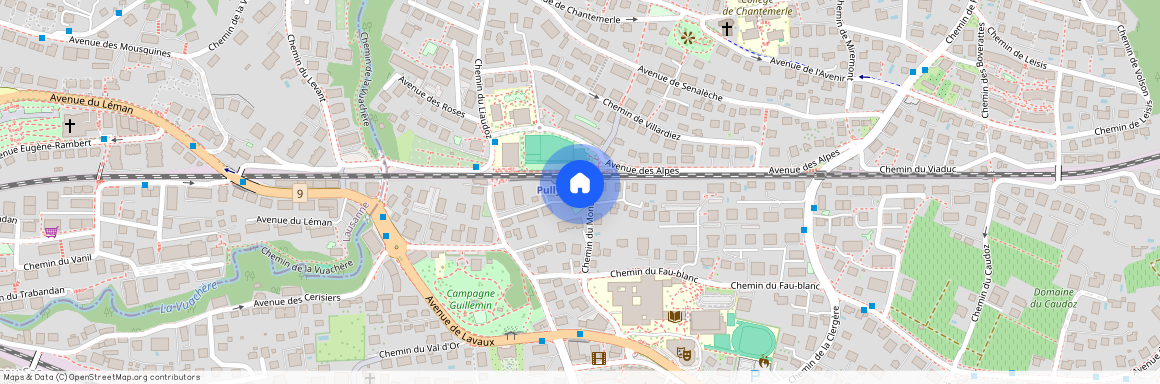 Chemin de Montillier 7, 1009, Pully