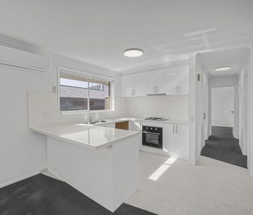 Fully Renovated Unit in Highton-$485/week - Photo 4