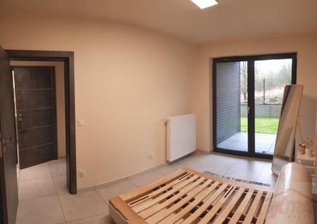 MIESZKANIE na WYNAJEM SZCZECIN (437936) - Zdjęcie 4