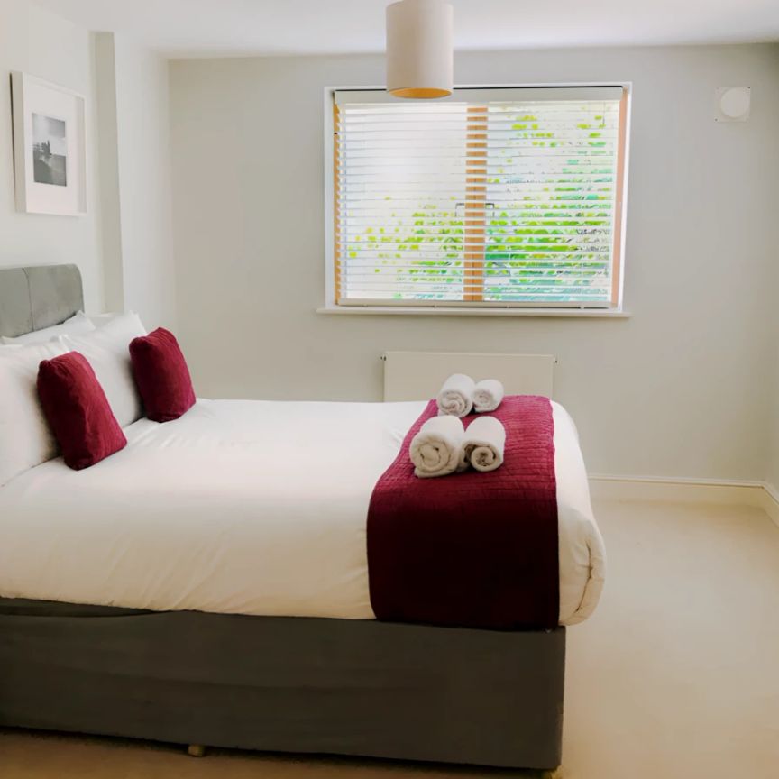 One Bedroom Apartment - Photo 1
